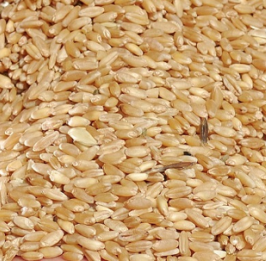 Пшеница протеин 13,50%&nbsp;